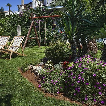 Apartments Patricia بنجول المظهر الخارجي الصورة