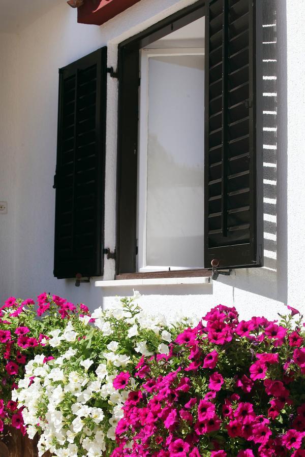 Apartments Patricia بنجول المظهر الخارجي الصورة